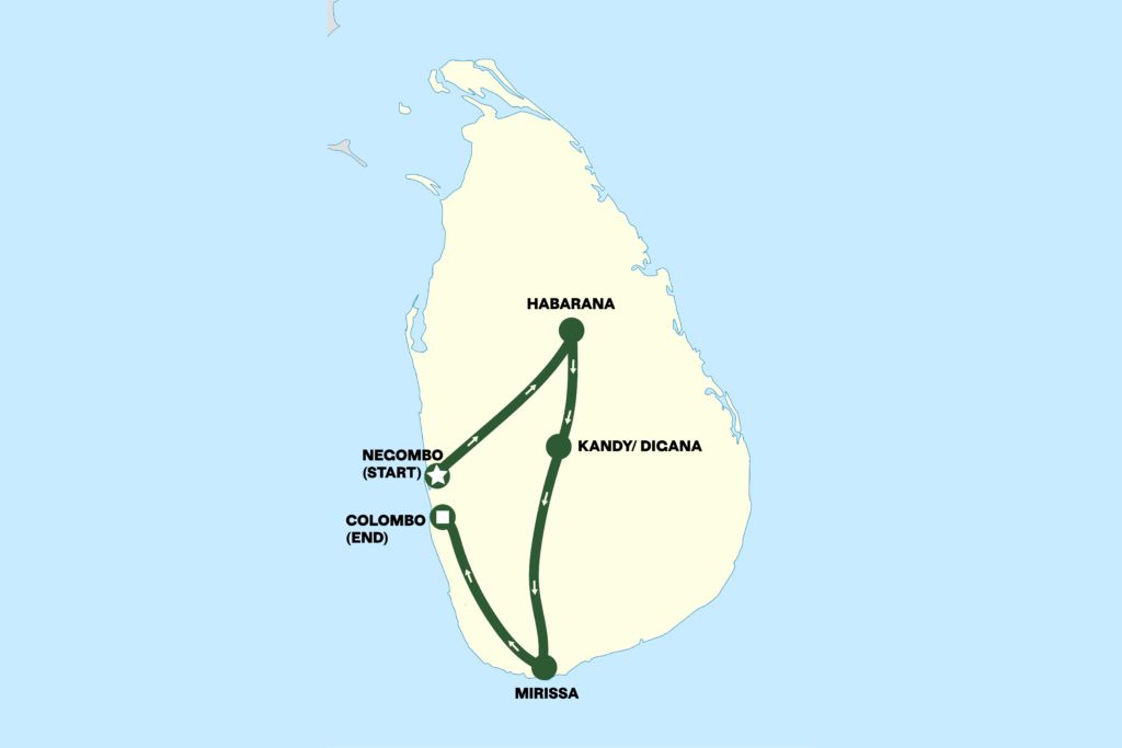 Jasmin Tour Graphic full final