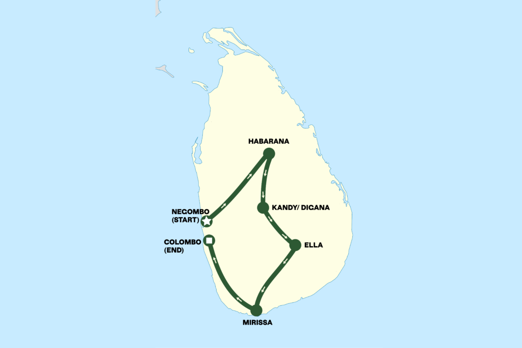 Lily Tour Map Graphic full