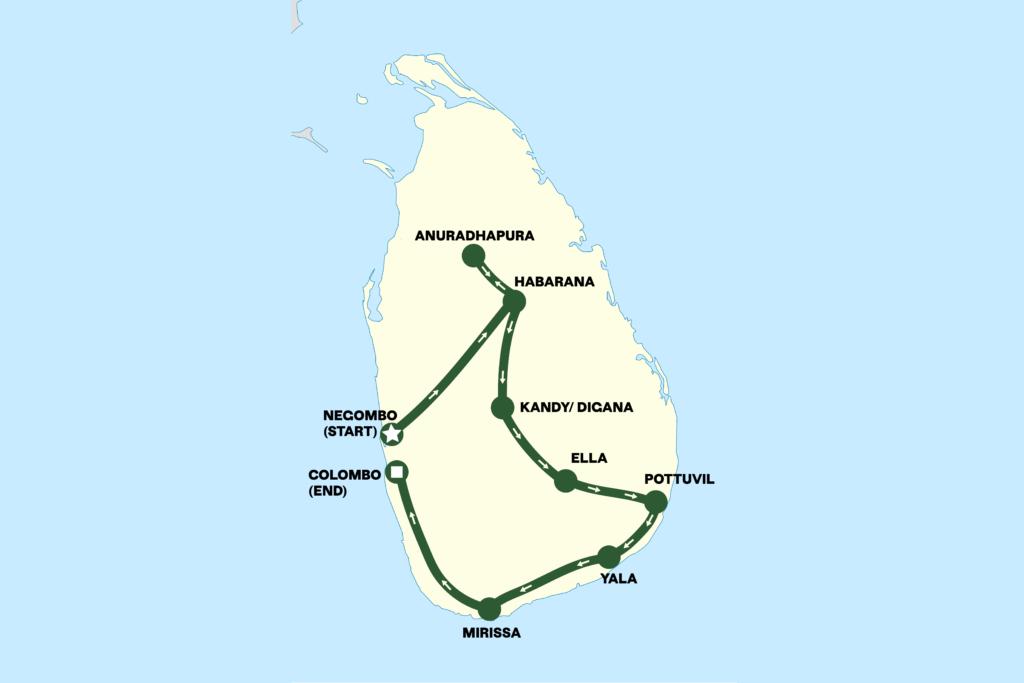 Rose Tour Map Graphic full